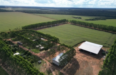 Fazenda para venda em Marcelândia
